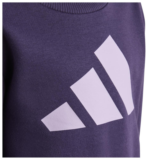 Adidas Παιδικές φόρμες σετ Essentials Big Logo Fleece Joggers Set